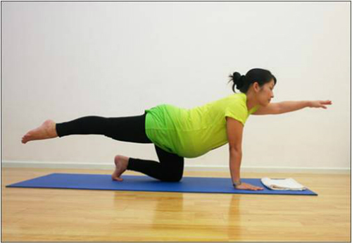 Description: Các bài tập yoga cơ bản