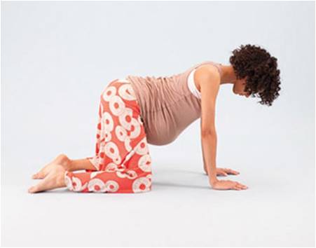 Description: Quỳ gối.