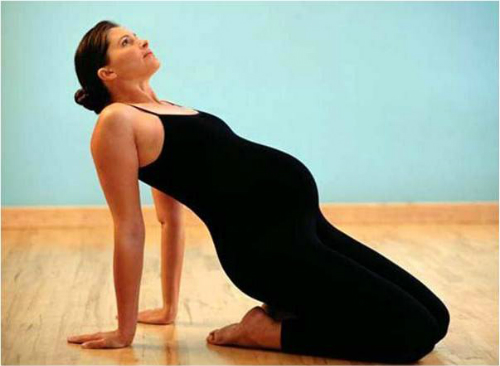 Description: Bài tập về lưng.