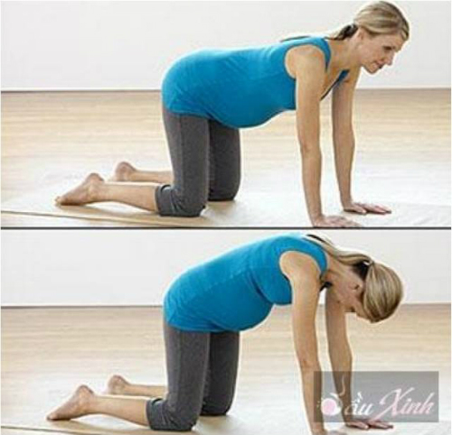 Description: Bài tập cho lưng.